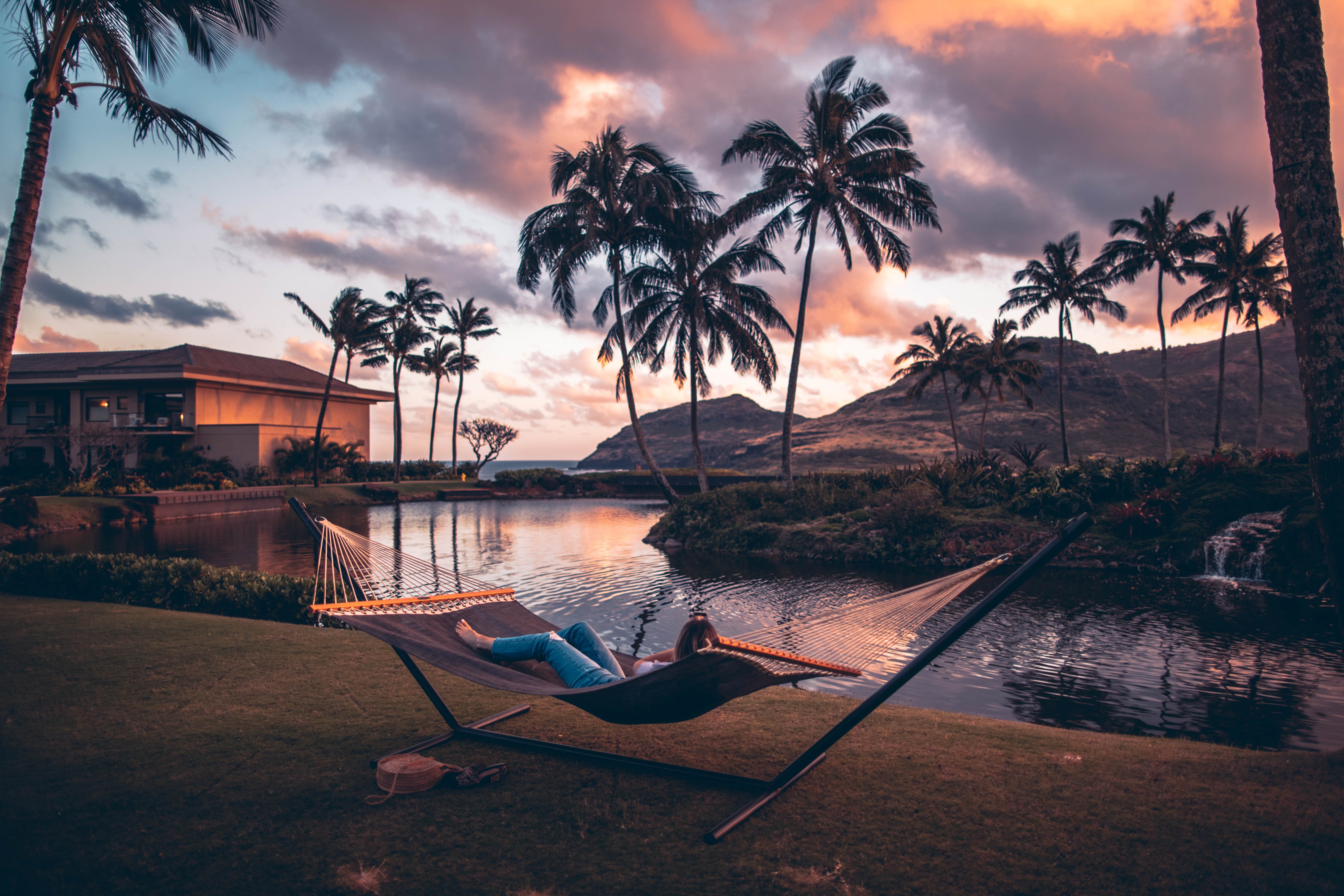 Image of a hammock in a forest.